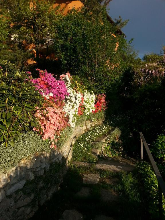 Casa Vacanze Le Violette Villa Brunate Ngoại thất bức ảnh